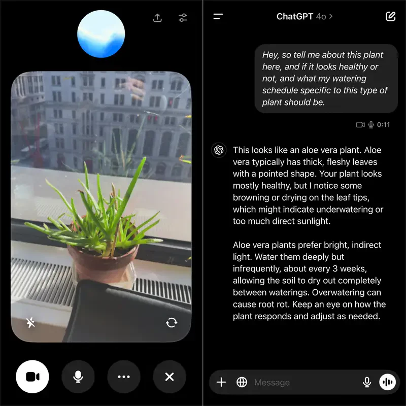 ChatGPT camera feature